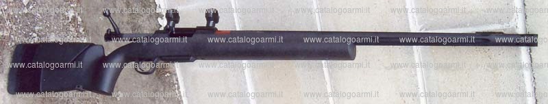 Carabina BCM Europearms s.a.s. modello Hunter Field (17650)