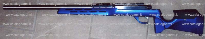 Carabina BCM Europearms s.a.s. modello Wizard Extreme (17393)