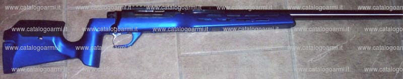 Carabina BCM Europearms s.a.s. modello Wizard Extreme (17393)