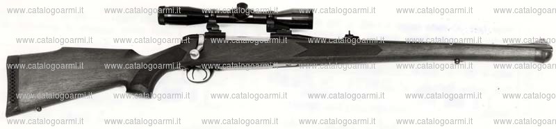 Carabina BSA Guns modello CF. 2 (3360)