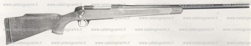 Carabina B.S.A. (Birmingham Small Arms Co.) modello CF. 2 (a canna pesante) (1976)