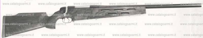 Carabina BSA Guns modello CF. 2 (da tiro mach) (304)