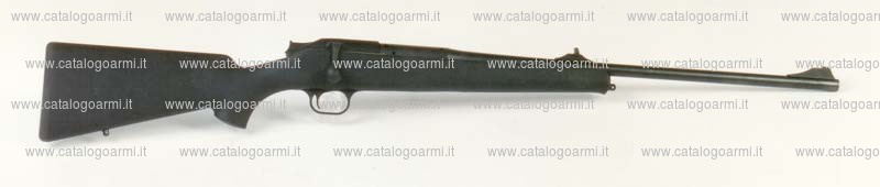 Carabina BLASER modello R 93 (13456)