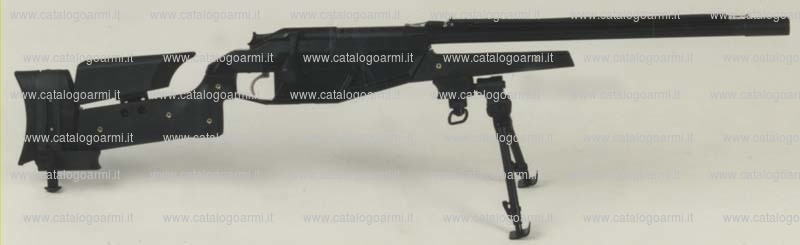 Carabina BLASER modello R 93 tactical (10902)