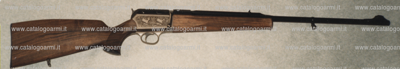 Carabina BLASER modello SR 830 (5496)