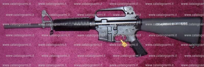 Carabina D.P.M.S. modello Panther classic (14261)