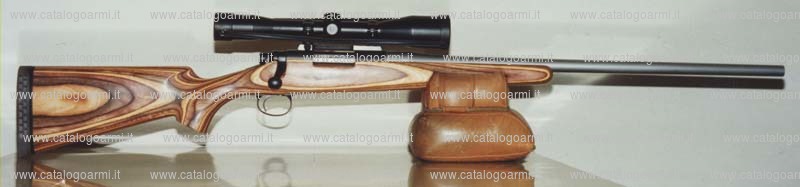 Carabina Daniele Tincani modello Remington 700 (10851)