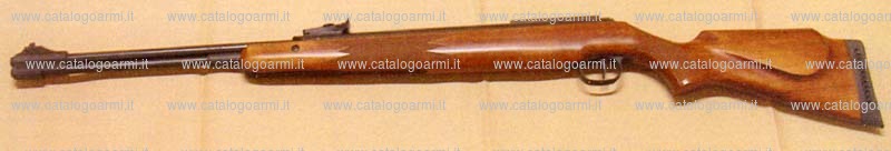 Carabina Diana modello F 460 Magnum (CN248)