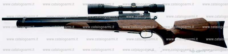 Carabina Evanix modello Hunting Master AR 6 (16974)