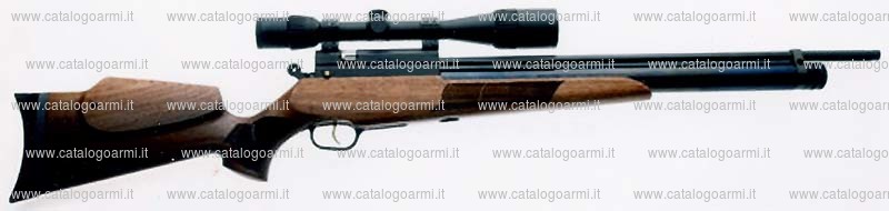 Carabina Evanix modello Hunting Master AR 6 (16974)