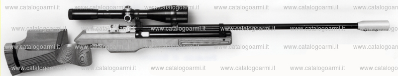 Carabina Feinwerkbau modello C 60 Cinghiale corrente (5902)