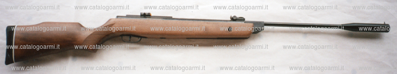 Carabina Gamo modello Hunter 1250 (15058)