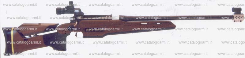 Carabina Grunig + Elmiger modello Future Target FT300 (16752)