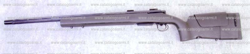 Carabina H.S. Precision modello 2000 Bignami (13085)