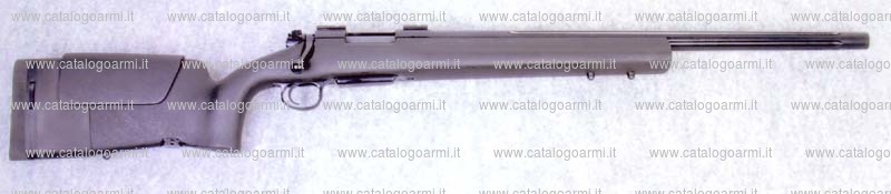 Carabina H.S. Precision modello 2000 Bignami (13085)