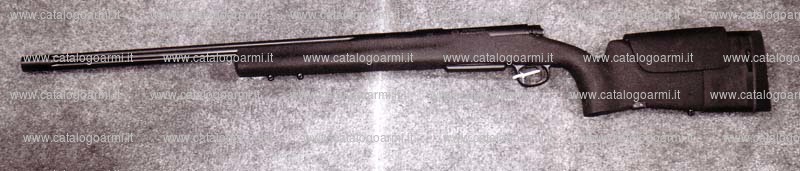 Carabina H.S. Precision modello 2000 Bignami (14307)