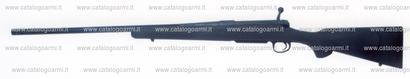 Carabina H.S. Precision modello 2000 Bignami (15218)