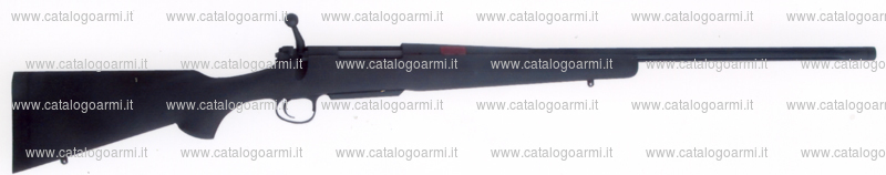 Carabina H.S. Precision modello 2000 Bignami (15220)