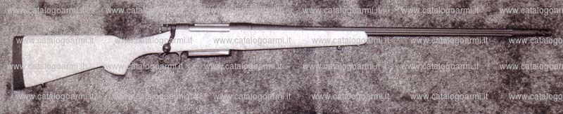 Carabina H.S. Precision modello 2000 Bignami Hunter (12903)