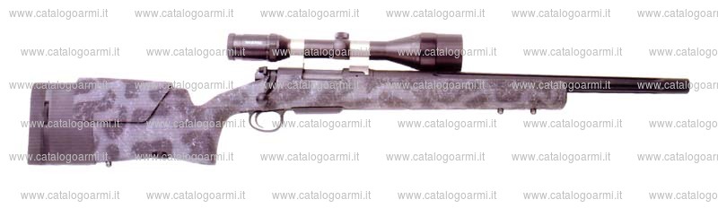 Carabina H.S. Precision modello Bignami 2000 (13798)