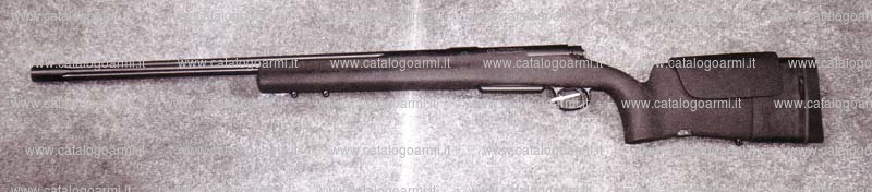 Carabina H.S. Precision modello Bignami 2000 (13800)