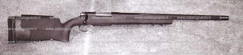 Carabina H.S. Precision modello Bignami 2000 (13800)