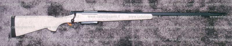 Carabina H.S. Precision modello Bignami 2000 (13801)