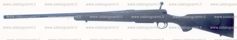 Carabina H.S. Precision modello Bignami 2000 (16638)