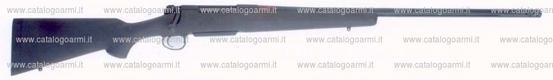 Carabina H.S. Precision modello Bignami 2000 (16638)