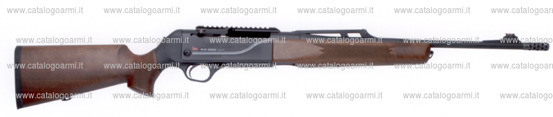 Carabina Heckler & Koch modello SLB 2000 (15530)