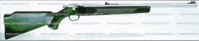 Carabina Henry modello ACU-BOLT H007 (15712)