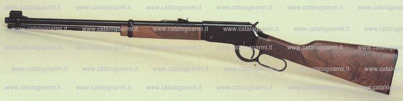 Carabina Henry modello Golden N. H 001 M (14883)