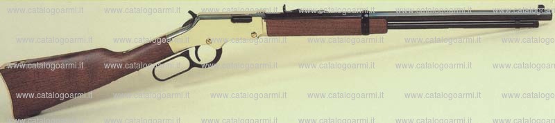 Carabina Henry modello Golden N. H 004 (14882)