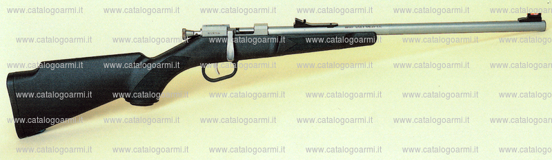 Carabina Henry modello Mini Bolt N. H005 (14900)