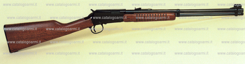 Carabina Henry modello PUMP action N. H003 (14901)