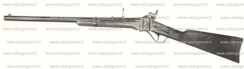 Carabina Iab modello Sharps sporter Carbine (1647)