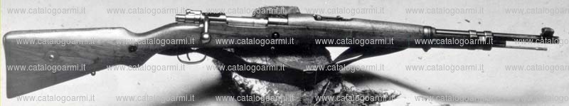 Carabina Mauser modello 1935 (3419)