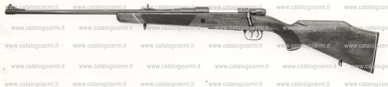 Carabina Mauser modello 2000 (234)