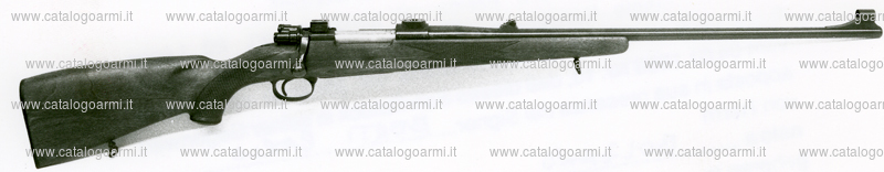 Carabina Mauser modello M 98 (7458)