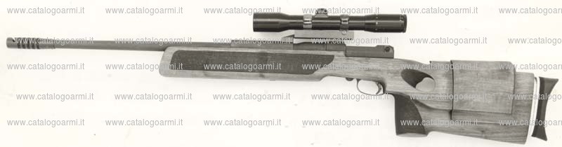 Carabina Mauser modello da tiro SP 66 (1688)