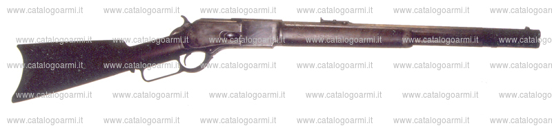 Carabina Palmetto modello W 76 Centennial (15478)