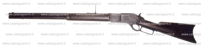 Carabina Palmetto modello W 76 Centennial (15479)