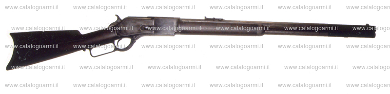 Carabina Palmetto modello W 76 Centennial (15479)