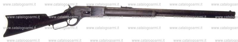 Carabina Palmetto modello W 76 Centennial (15575)