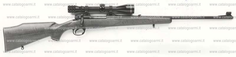 Carabina Parker Hale modello 2100 MiDLand (2400)