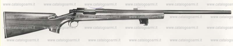 Carabina Remington modello 40 XB (451)