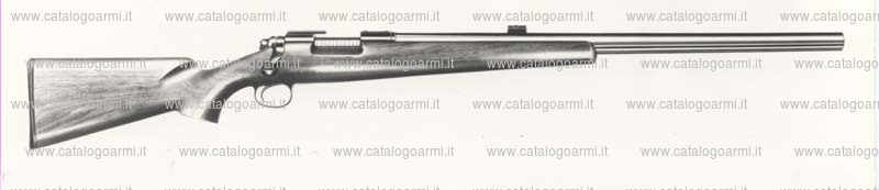 Carabina Remington modello 40 XB BR (556)