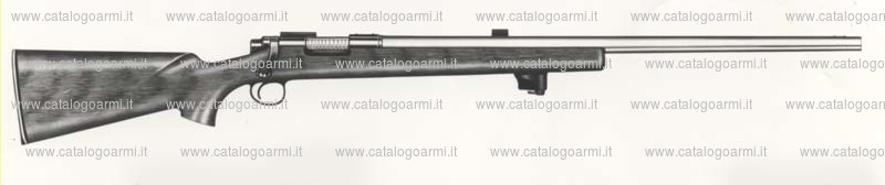 Carabina Remington modello 40 XB H. B. (406)