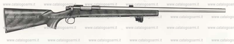 Carabina Remington modello 40 XB H. B. (639)