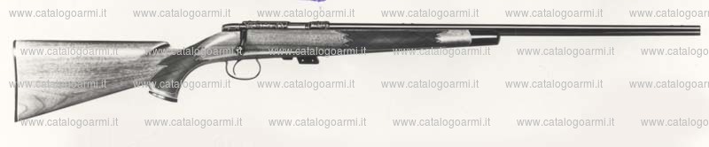 Carabina Remington modello 541 S. (416)